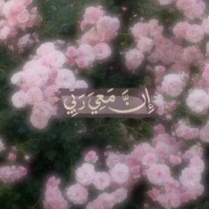 صورة الملف الشخصي لـ فاطمة Fatima